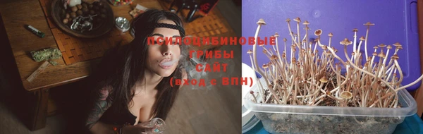 мяу мяу мука Зеленодольск