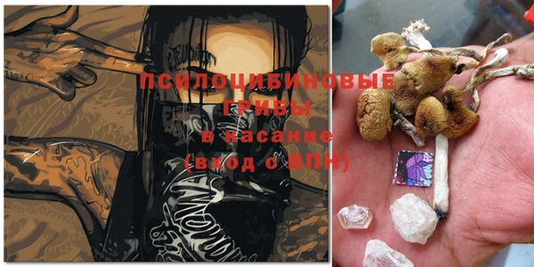 MDMA Зеленокумск